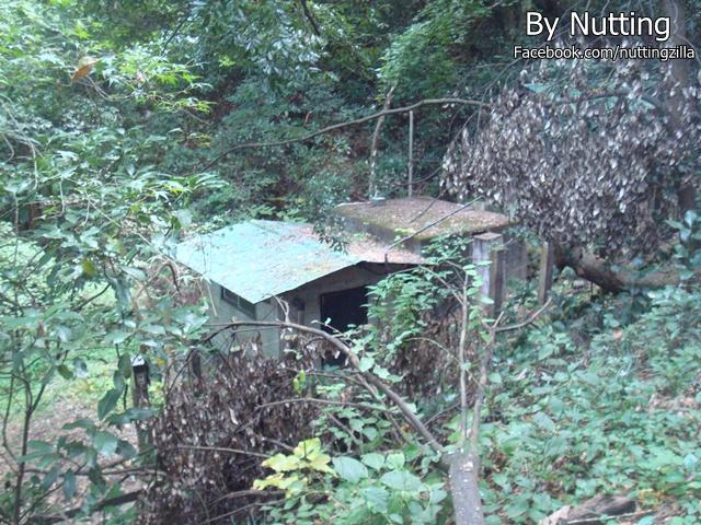 DSC03920.JPG